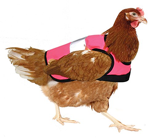 Omlet Warnweste für Hühner – Pink
