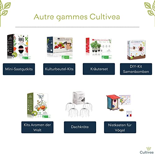 Cultivea –Bio Kräuter Anzuchtset -100% Öko Kräutersamen – Indoor Garten – Bio Samen– Das perfekte Geschenkset – Pflanzset (Basilikum, Schnittlauch, Petersilie) – DIY – - 6