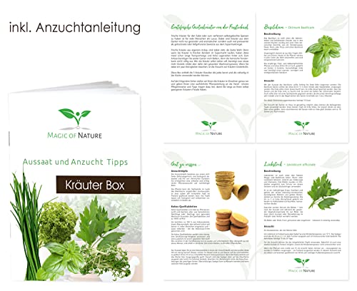 Magic of Nature BIO Kräuter Box CLASSIC – Anzuchtset – 5 Sorten BIO Samen – Perfektes Geschenk – Zum Selberzüchten oder zum Verschenken – Kinderleichte Handhabung - 4