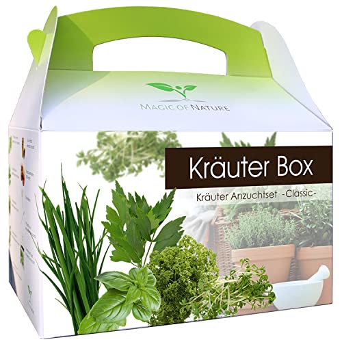 Magic of Nature BIO Kräuter Box CLASSIC – Anzuchtset – 5 Sorten BIO Samen – Perfektes Geschenk – Zum Selberzüchten oder zum Verschenken – Kinderleichte Handhabung - 5