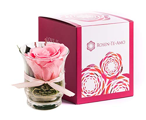 Rosen-Te-Amo, duftende Premium konservierte ewige Rose pink in Vase handgefertigt mit echtem Bindegrün in feiner Geschenk-Box (neu). Infinity Rosen: Geschenke für Frauen & Deko Wohn-Zimmer - 2