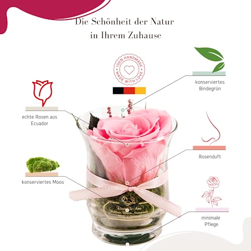 Rosen-Te-Amo, duftende Premium konservierte ewige Rose pink in Vase handgefertigt mit echtem Bindegrün in feiner Geschenk-Box (neu). Infinity Rosen: Geschenke für Frauen & Deko Wohn-Zimmer - 3