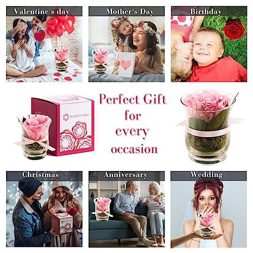 Rosen-Te-Amo, duftende Premium konservierte ewige Rose pink in Vase handgefertigt mit echtem Bindegrün in feiner Geschenk-Box (neu). Infinity Rosen: Geschenke für Frauen & Deko Wohn-Zimmer - 4