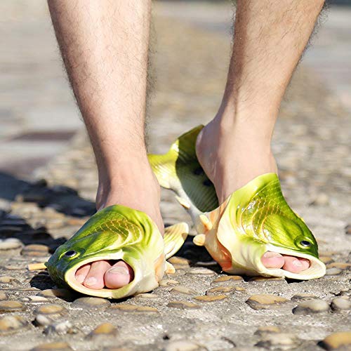 SKDHGFKAJSHJFKDHJK Lippers Mann Schuhe Family House Schuhe Männer Größe 33-47 Summer Beach Hausschuhe Jungen Unisex Fisch Hausschuhe Männer, Grün B, 3.5 - 3