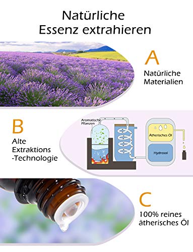 VicTsing Ätherische Öle Set (6x10ml), Essential Oil für Aromatherapie, Duftöl für Aroma Diffuser, 100% Rein Öle, Lavendel, Pfefferminz, Teebaum, Zitronengras, Eukalyptus, süße Orange-Braun - 6