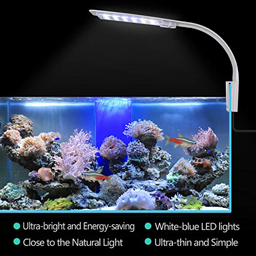 KWOKWEI LED Aquarium Licht, Clip-on Aquarium Lampe mit Weiß und Blau Licht, 10W LED Aquarienleuchte mit EU-Stecker, 24LEDs Fische Tank Beleuchtung Aufsetzleuchte für Aquarium, Zisternen, Steingärten - 8