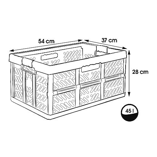 Profi-Klappbox 45L m zur einfachen Aufbewahrung und platzsparend flach zum zusammenfalten - 2