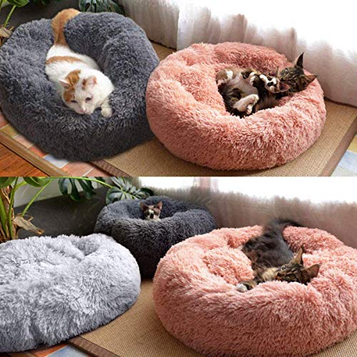 Wundervolle Tierbett für Hund & Katze mit weichem Plüsch - 7