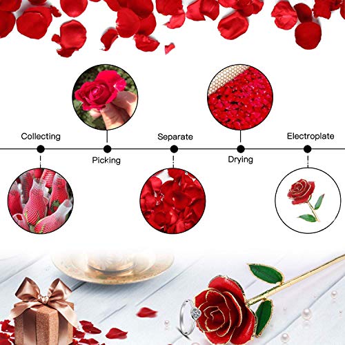 Gomyhom Rose, 24k Gold Rose Handgefertigt Konservierte Rose – mit Geschenkbox für Frau Freundin Oma/Valentinstag/Muttertag/Geburtstag/Hochzeitstag/Weihnachten/Jahrestag/Künstliche Rose - 3