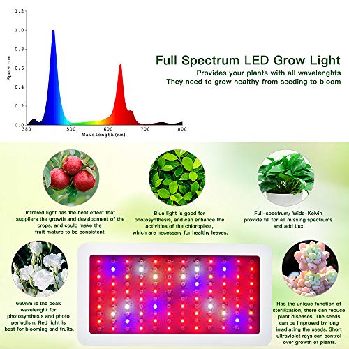 1200W LED Pflanzenlampe, WAKYME Einstellbar Volles Spektrum Zwei Schalter Pflanzenleuchte mit Thermometer Feuchtigkeitsmesser & Leistungsstarkem Kühlsystem für Gemüse und Blumen im Innenbereich - 4