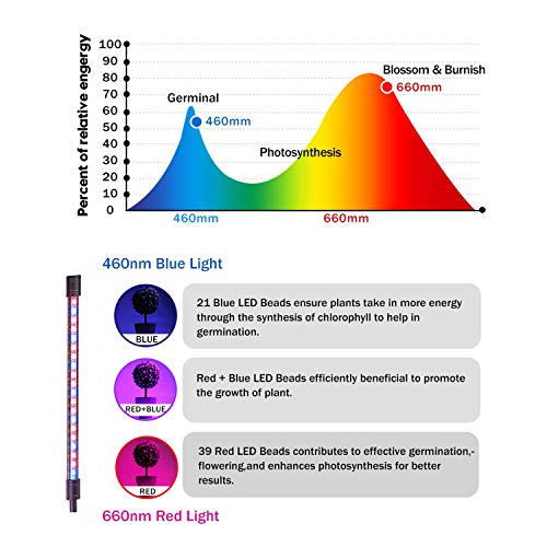 30W LED Pflanzenlampe with Auto Einschalt Funktion,60 LED Vollspektrum Grow Lampe Pflanzenlicht Pflanzenleuchte mit 3 Timer Funktion, 3 Modus, 4 Helligkeit, mit USB Adapter für Garten Zimmerpflanzen - 8