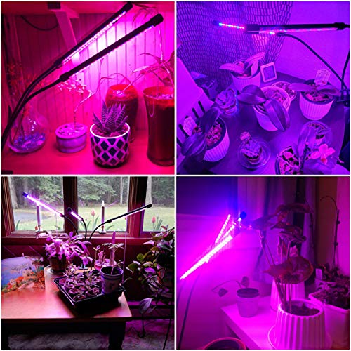 30W LED Pflanzenlampe with Auto Einschalt Funktion,60 LED Vollspektrum Grow Lampe Pflanzenlicht Pflanzenleuchte mit 3 Timer Funktion, 3 Modus, 4 Helligkeit, mit USB Adapter für Garten Zimmerpflanzen - 6