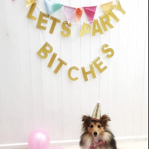 G2PLUS Let’s Party Bitches Girlande, Glitzer Papier Bunting für Party Dekoration - 5