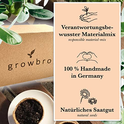 growbro Hopfen Anzuchtset, Der Weg zu deinem eigenen Bier, Geschenk für Männer, Freunde und Papa, Geburtstagsgeschenk, Gastgeschenk, Geschenke zum Grillen, Männer Gadget - 5