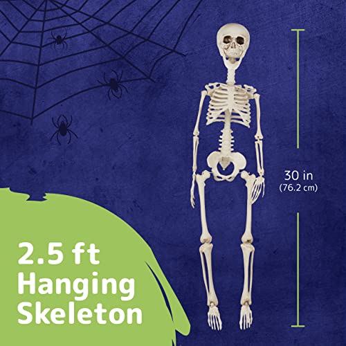 Prextex 76cm Halloween Skelett – komplettes Skelett mit beweglichen Gelenken für die Beste Halloween Dekoration - 2