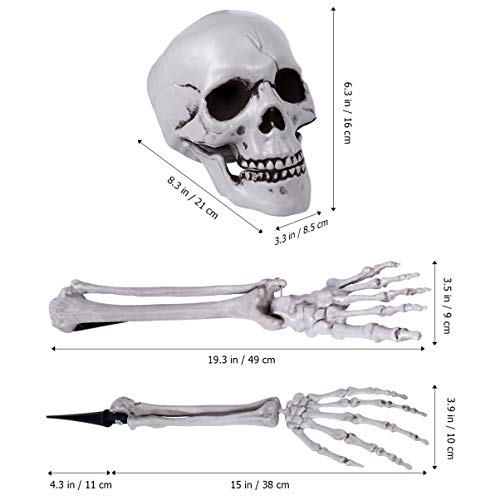 EXCEART Skelettknochen Und Schädel Kunststoff Gruselige Gefälschte Skelett für Halloween Dekor Requisiten Friedhof Bodendekor Halloween Skelett mit Beweglichen Gelenken - 3