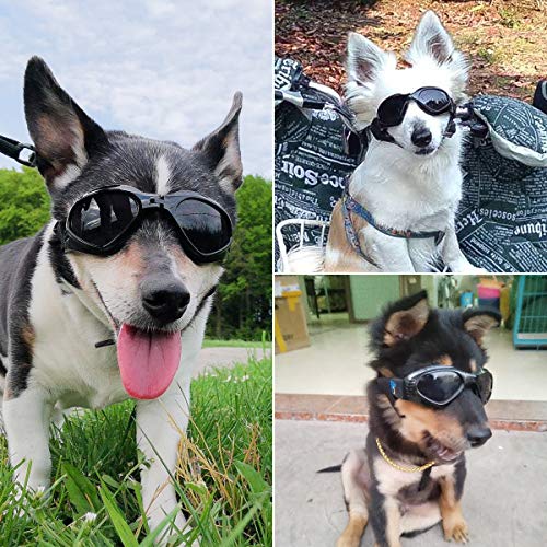 PEDOMUS Hunde Sonnenbrille Verstellbarer Riemen für UV-Sonnenbrillen Wasserdichter Schutz für kleine und mittlere Hunde Schwarz - 7