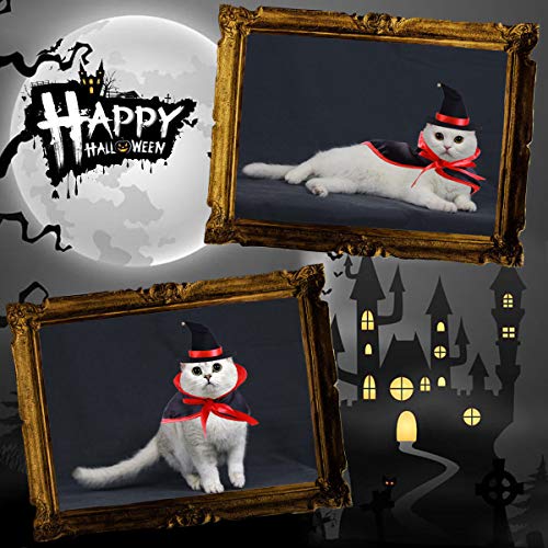 Haustier Halloween Kostüm Vampir Kap Zauberer Hut für Urlaub Cosplay Party Haustier Kleidung Geeignet für kleine Katze Hund Papageien 2 Packungen Rot Schwarz Dekorationen - 5