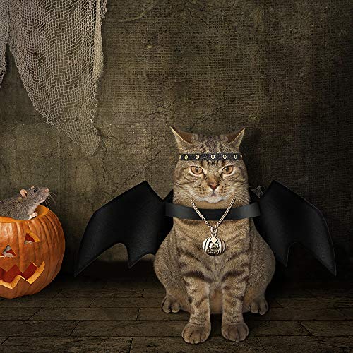 Bestcol Katze Bat Wings Kostüm, Halloween Haustier Kleidung Schwarz Hund Bat Wings Katze Fledermaus Kostüm mit Halsumfang von 24-36 cm und Brust von 36-42 cm für Cats Puppy Dogs - 5