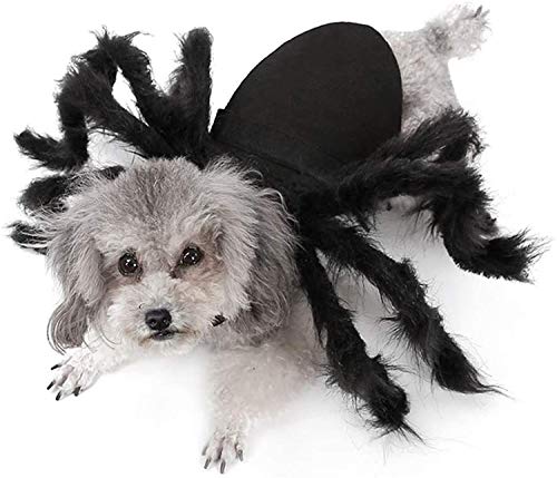 IvyH Halloween Haustier Dekoration, Katze Hund Kostüm Horror Simulation Plüsch Spinne Kostüm Party Festival Dress Up für Welpen Kätzchen (S Größe)