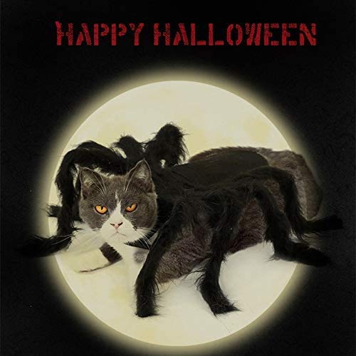 IvyH Halloween Haustier Dekoration, Katze Hund Kostüm Horror Simulation Plüsch Spinne Kostüm Party Festival Dress Up für Welpen Kätzchen (S Größe) - 9