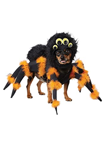 California Costumes Hundekostüm, Spinnen-Welpe, Schwarz/Orange, Größe XS