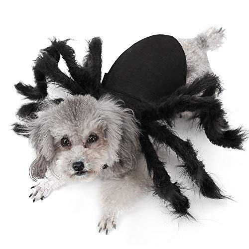 Spinne Hund Kostüm Lustige Halloween Tarantel Katze Kostüm, gruselig kriechend Araneid Haustier Kostüm Hund Cosplay Kleid für Welpen Kleine Mittlere Große Katzen Besondere Ereignisse Foto Requisiten - 4