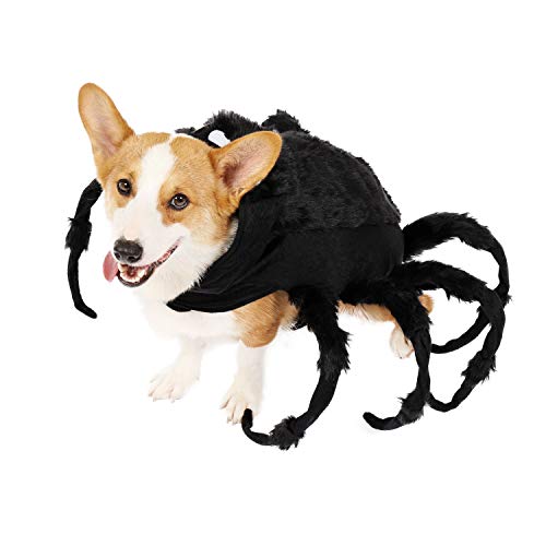 Spooktacular Creations Halloween Tarantel Spinne Kostüm für Haustier (Größe M) Spinne Halloween Haustier Cosplay Kostüm Hund Katze Kostüm Bekleidung Zubehör - 2