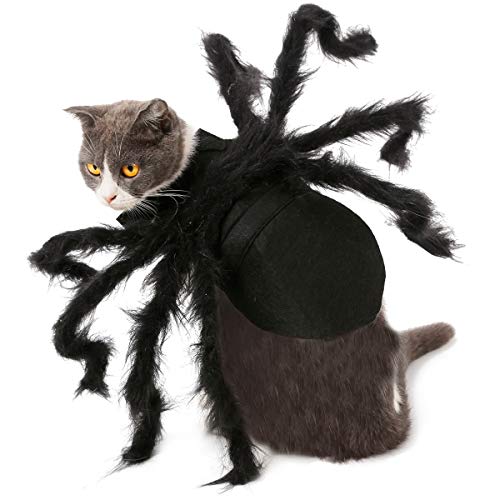 Cuteboom Spinne Halloween Haustier Kostüm Tarantel Kostüm Party Dress Up für kleine Hunde und Katzen (M)