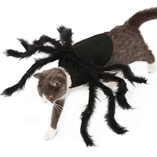 Cuteboom Spinne Halloween Haustier Kostüm Tarantel Kostüm Party Dress Up für kleine Hunde und Katzen (M) - 2