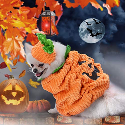 Legendog Hunde Halloween Kostüm，Halloween Haustier Hund Kürbis Kostüm mit Kürbis Headwear/Halloweenkostüm für Hund Welpe Party Coslay Dekoration - 3