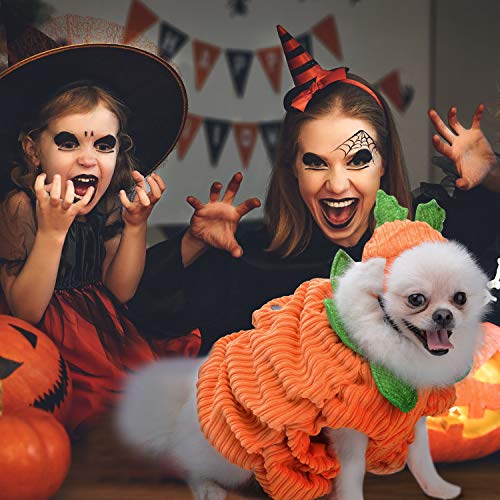 Legendog Hunde Halloween Kostüm，Halloween Haustier Hund Kürbis Kostüm mit Kürbis Headwear/Halloweenkostüm für Hund Welpe Party Coslay Dekoration - 8