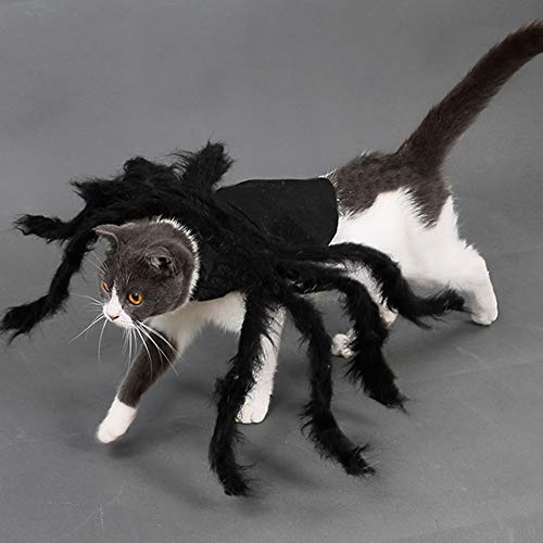 Spinnen-Hundekostüm, Halloween-Cosplay-Kostüme für Katzen, Hund, lustiges Party-Zubehör, Large - 3