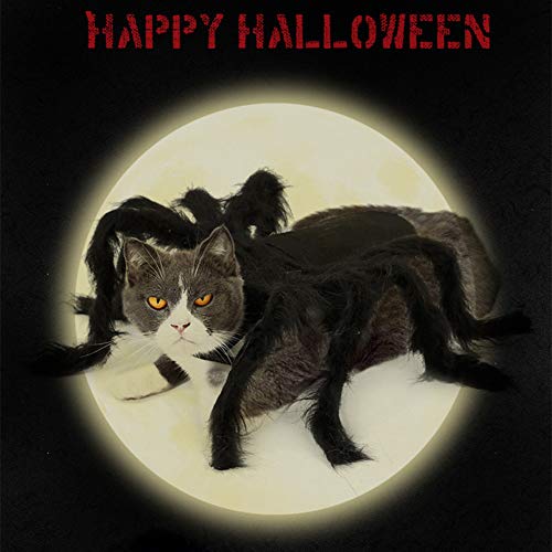 Spinnen-Hundekostüm, Halloween-Cosplay-Kostüme für Katzen, Hund, lustiges Party-Zubehör, Large - 7