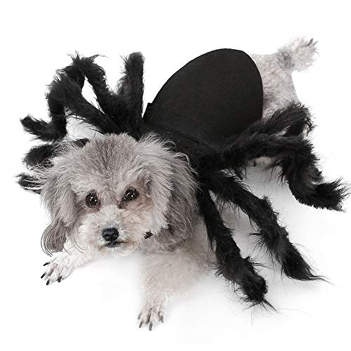 Haustier Kleidung, Spinne Cosplay Haustier Kostüm für Katze Hund,Spinne Fledermaus Rollenspiele Anzieh Kleidung für Party Weihnachten Halloween
