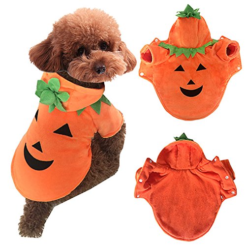 AIYUE Halloween Hundemantel Hundekostüm Haustiere Kürbis Verkleidung Hundejacke Hundepullover Plüsch Kürbis Cosplay Hund Bekleidung