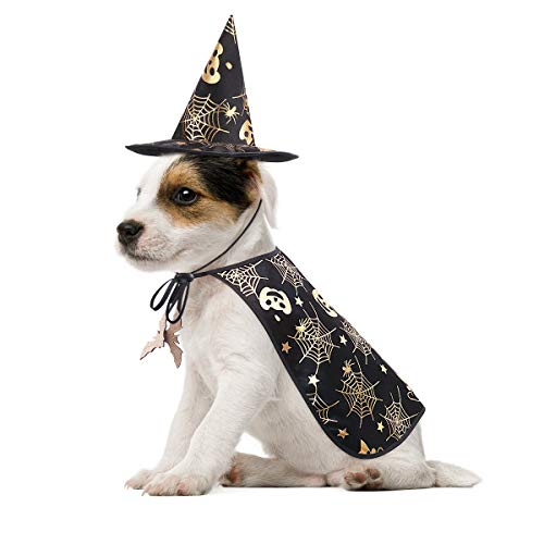 POPETPOP Haustier Halloween Kostümiert Kap mit Zaubererhut Hunde Katzen Halloween Kleidern (Größe M)