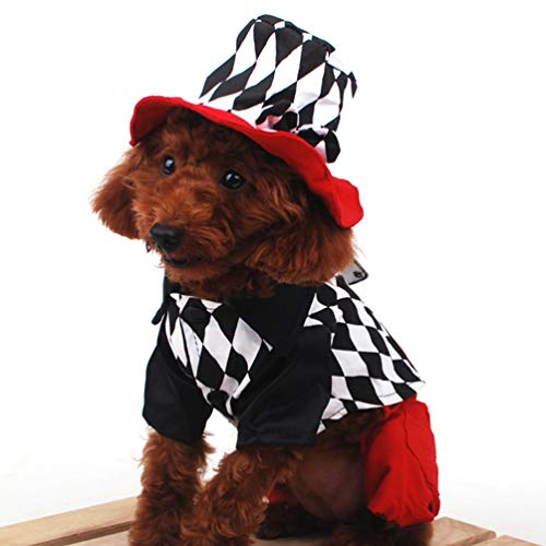 Xinwcang Haustier Kostüm für Hunde Halloween Zaubererkostüm Hundekostüm Kleidung für Weihnachten Kleid Karneval Hundemantel XS - 2