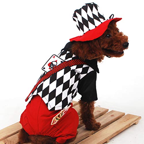 Xinwcang Haustier Kostüm für Hunde Halloween Zaubererkostüm Hundekostüm Kleidung für Weihnachten Kleid Karneval Hundemantel XS - 3