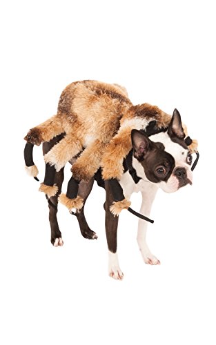 Offizielles Rubie‘s-Hunde-Kostüm für Halloween, Design: Riesenspinne
